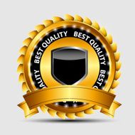 Vector gold sign label template N23