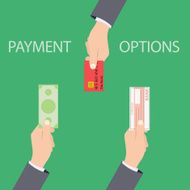 Vector concept of payment options in flat style N3