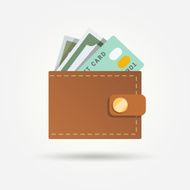 Wallet with money isolated