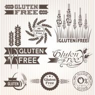 Gluten free design elements N7