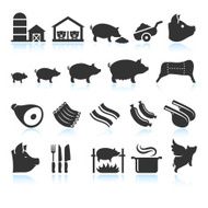 Farm Pig Live Cycle and Food Preparation Set