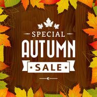 autumn special sale vintage vector typography poster on wood background