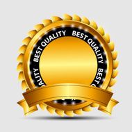 Vector gold sign label template N28