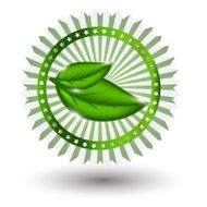 100 natural green label isolated on white vector illustration N11
