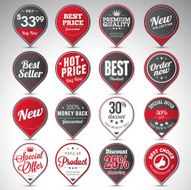 Set of business vintage badges N41