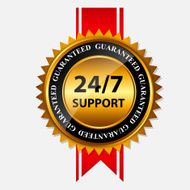 Vector 24 7 SUPPORT gold sign label template