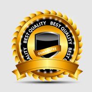 Vector gold sign label template N38