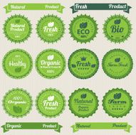 Fresh &amp; organic food labels N3