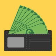 wallet full of money