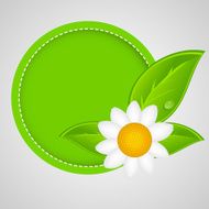 100 natural green label isolated on gray vector illustration N4