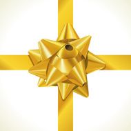 Box wrapped with Ribbon