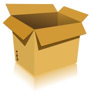 Shipping box - VECTOR N2