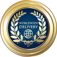 Worldwide Delivery Medal