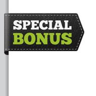 SPECIAL BONUS leather bookmark label