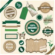 Vintage organic labels set
