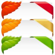 Corner ribbons and fall leaf frames vector set N2
