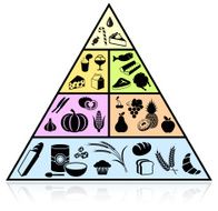Food Pyramid and diet