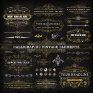 Calligraphic Vintage Elements - Complete Set N2