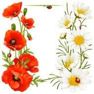 Poppy and Camomile Floral design elements N2