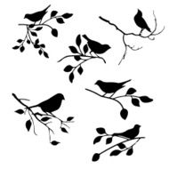 bird with leaf element