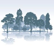 city park N12