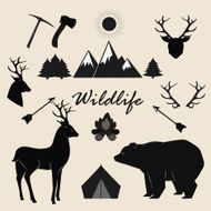 Wildlife camping and adventure vector elements set
