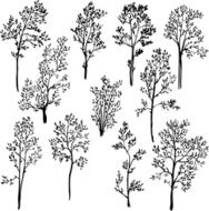 set of different spring trees N2