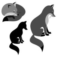 Fox N17