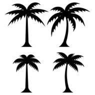 Simple palm trees - VECTOR