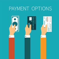 Vector concept of payment options in flat style N2