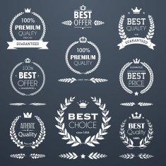 Premium quality laurel wreath set N2