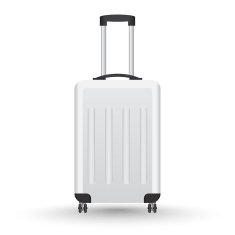 3D Realistic suitcase vector for travel