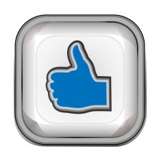 Computer Key Icon