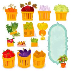 Farmer's Vegetables