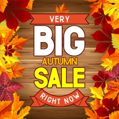 Autumn Sale N60
