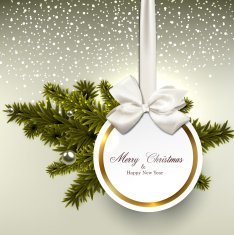 White paper gift card with satin bows N2
