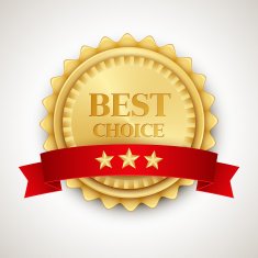Best product icon Vector illustration N2