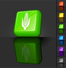corn 3D button design
