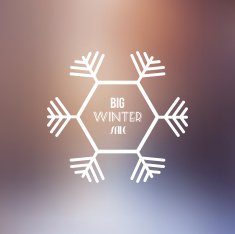 Big Winter Sale Vector Retro Badge with Blurred Background
