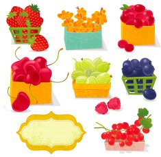 Farmer's Berries