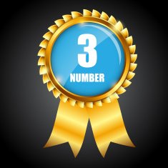 Vector gold sign label template N37