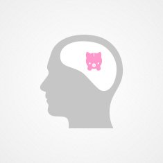 Head and piggy