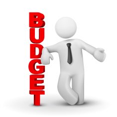 3d business man presenting concept of budget