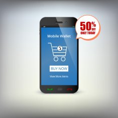 Mobile banking wallet on screen of smartphone N2