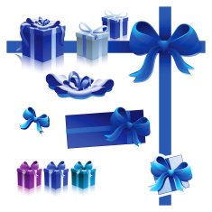 Gift & Presents Equipment BLUE