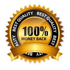 Vector gold sign label template N49
