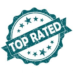 top rated grunge seal