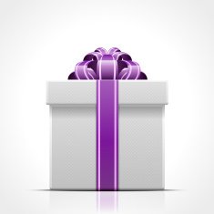 Gift Box N73