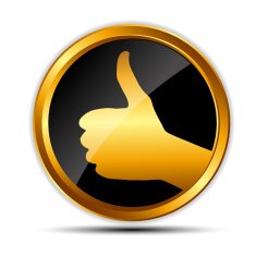 Vector gold sign label template N53