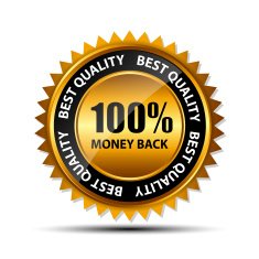 100 money back golden label vector illustration
